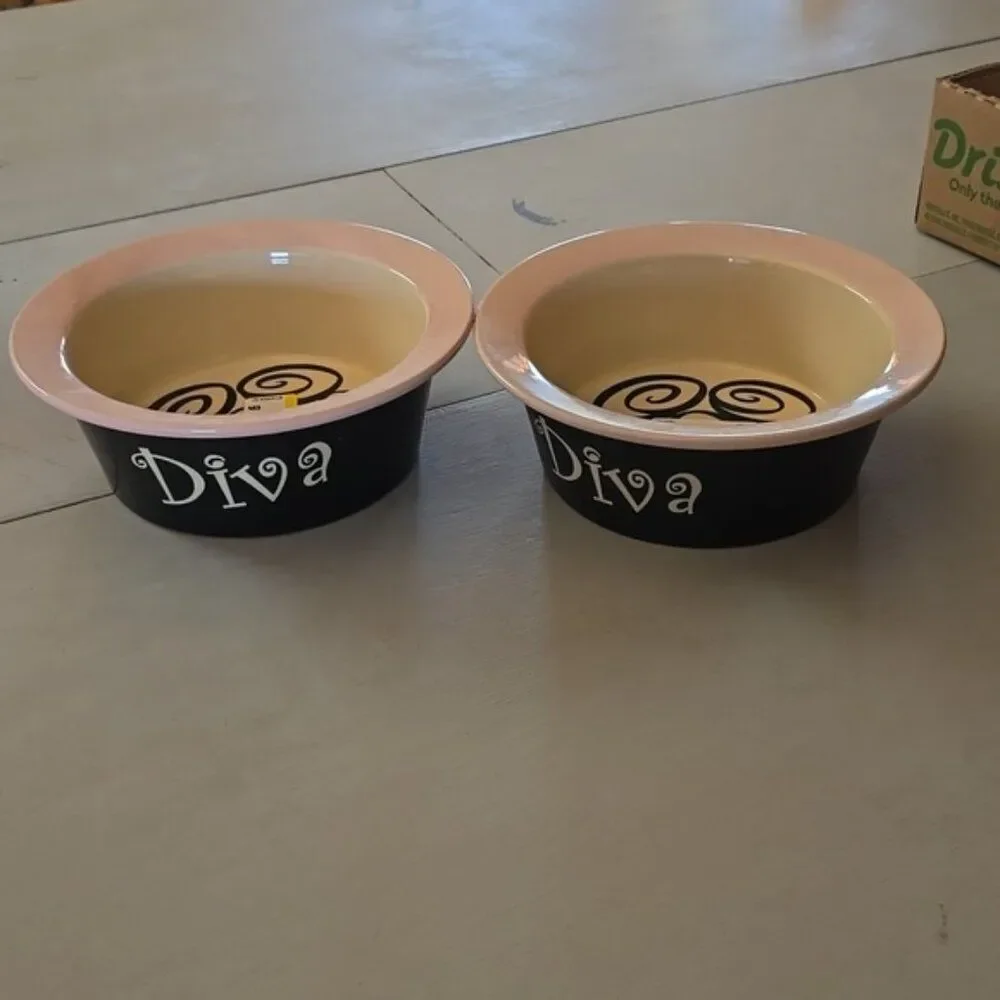 RARE VINTAGE DIVA DOG BOWLS — Pink Ceramic Small Dog Bowls (Set of 2) ALCO • Y2